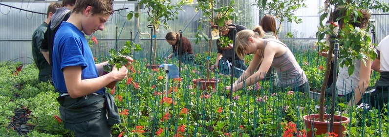 Le métier d'horticulteur -Parcours emploi -