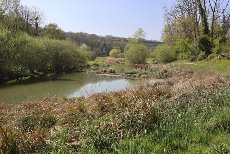 Bassins de régulation des eaux de l’Aulnoy et des Près de Coupvray (77)