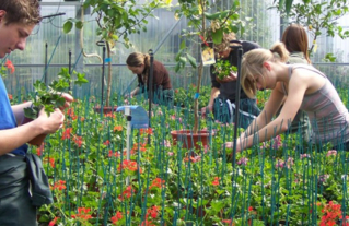 Le métier d'horticulteur -Parcours emploi -