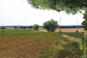 Point de vue du méthaniseur depuis le chemin de l'Ermitage à 10 ans de croissance