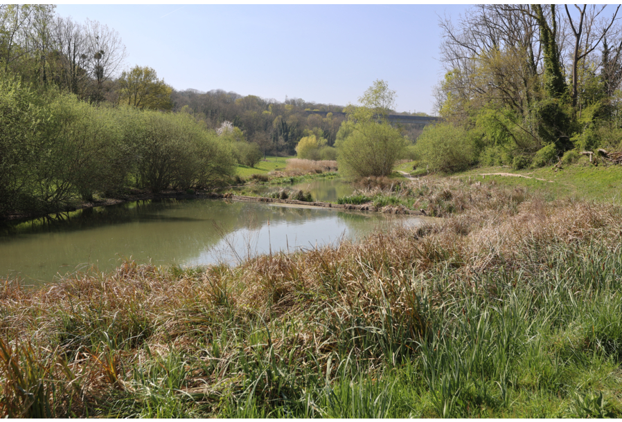 Bassins de régulation des eaux de l’Aulnoy et des Près de Coupvray (77)