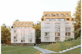Vue perspective du concours